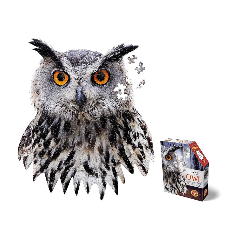 くまʕ•ᴥ•ʔ Amazon.com: Madd Capp Puzzles - I AM Owl - 300 Pieces